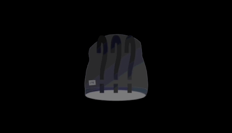 “DIEZ88” BEANIE 1 OF 1